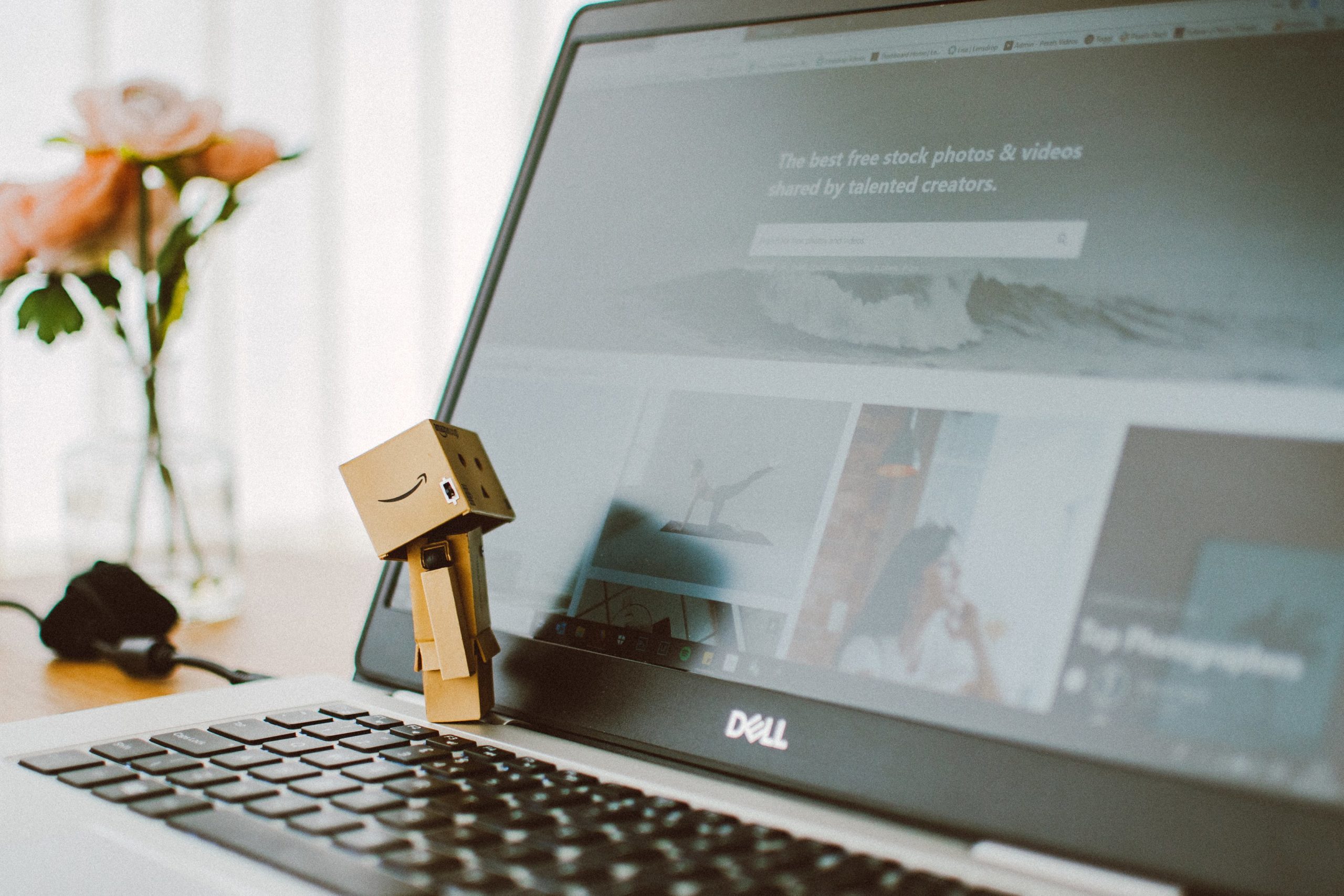 Tips for Finding Free Images For Your Site