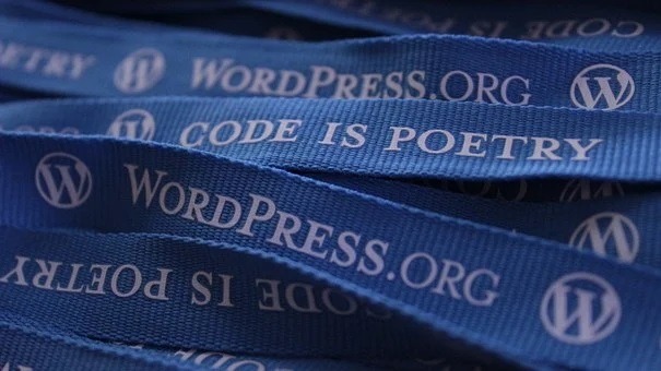 Tips for Finding a Good WordPress Developer