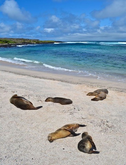Galapagos Islands