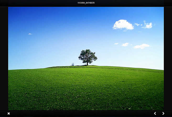 "Responsive Lightbox by dFactory"