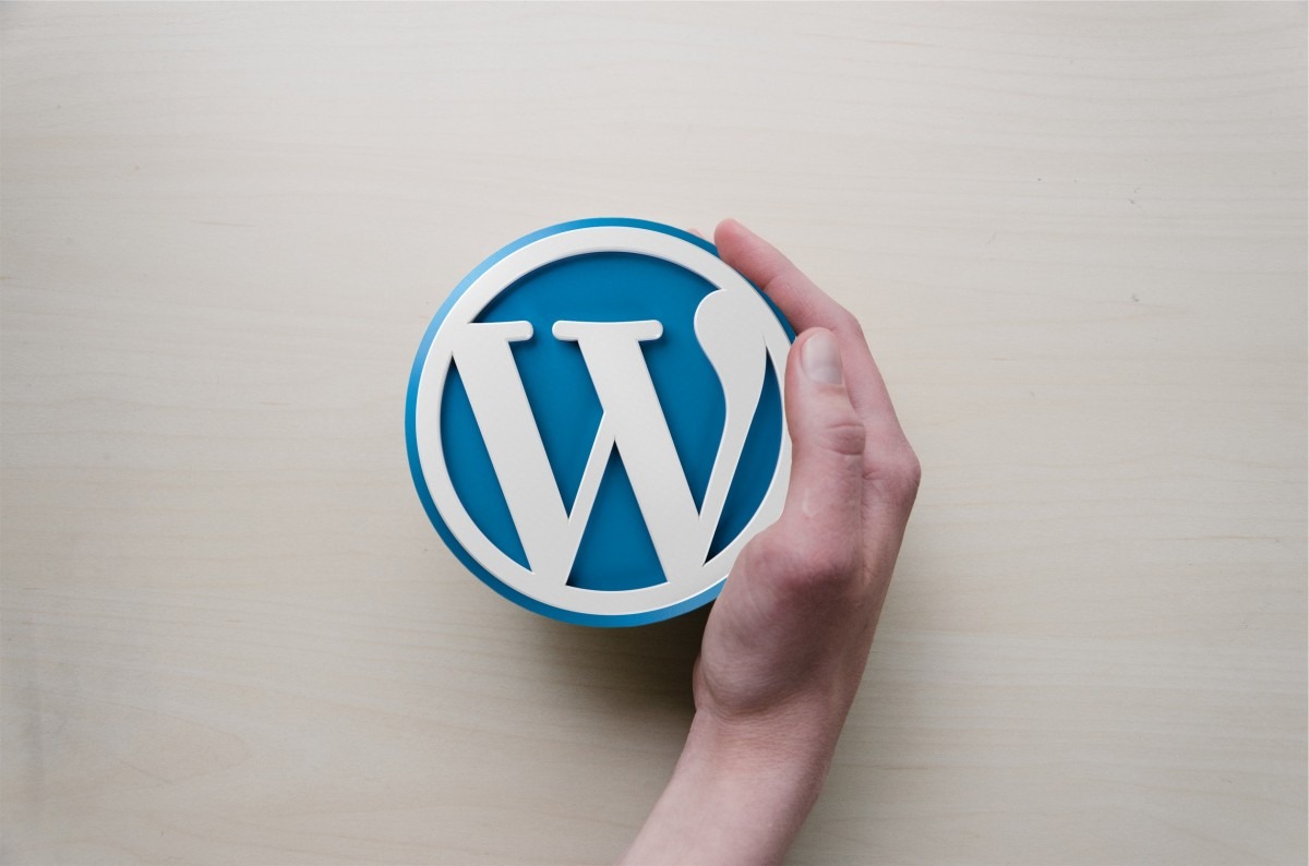 Person holding WordPress logo