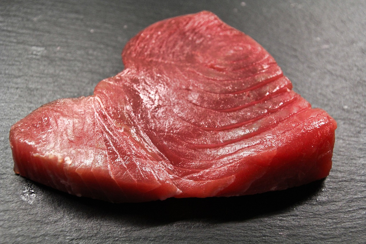Is Tuna or Salmon Steak Better